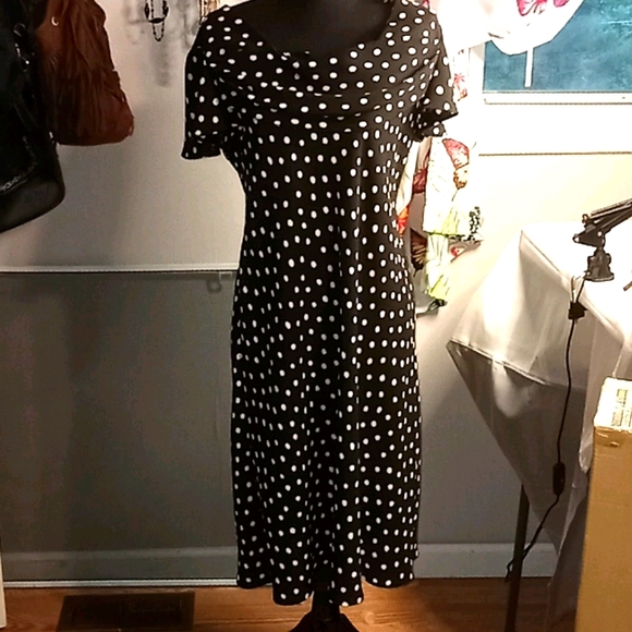 S.L. Fashions Dresses & Skirts - 🐩S.L. Fashion dress🐩
